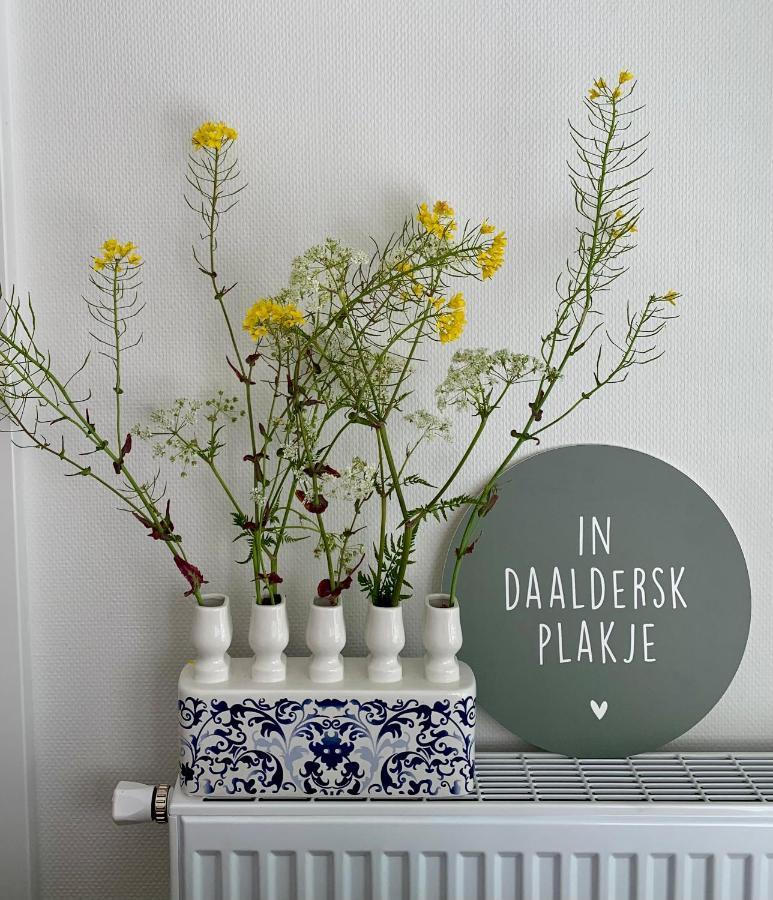 Daalders Plakkie Villa Elahuizen Eksteriør bilde